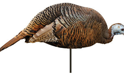 MONTANA DECOY DINNER BELLE FEEDING HEN 2D