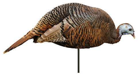 MONTANA DECOY DINNER BELLE FEEDING HEN 2D
