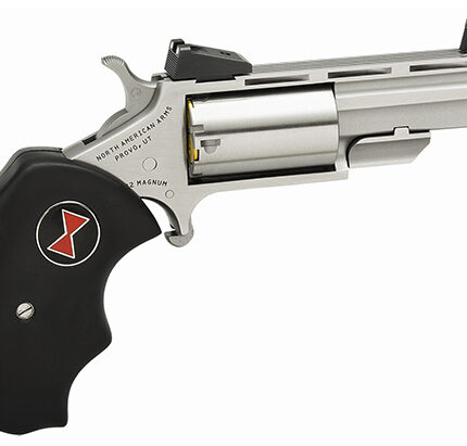 NAA BLACK WIDOW 22MAG 2 VR SS AS LARGE GRIPS 5RD