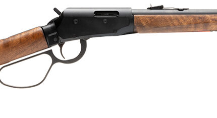 SAV REVEL CLASSIC 17HMR 18