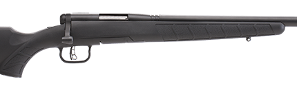 SAVAGE ARMS B.MAG 17WSM BL/SYN HVBBL 22"