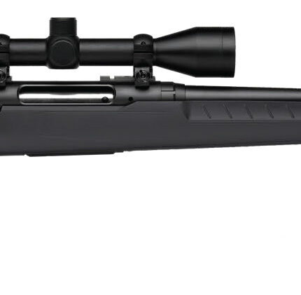 SAVAGE ARMS AXIS 2 22-250 BL/GRY 22" PKG