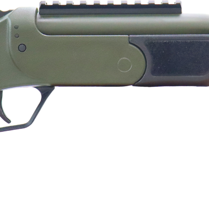 ROSSI BRAWLER 300BLK 9" BL/ODG