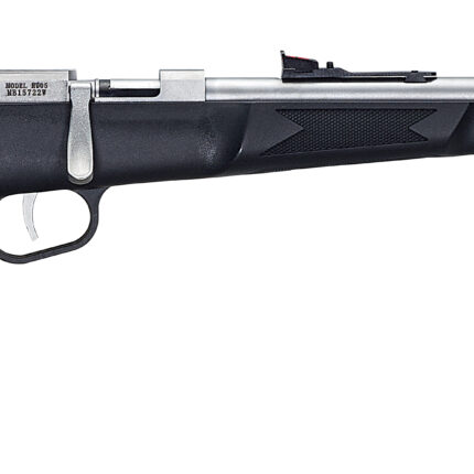 HENRY REPEATING ARMS MINI BOLT 22LR SS/SYN #