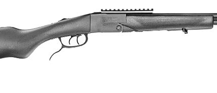 CHIAPPA DBL BADGER 410G/22LR SHT/RF