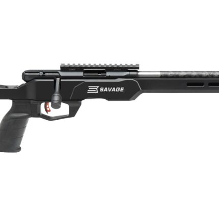 SAVAGE ARMS B22 PRECISION LITE 22MAG 18"