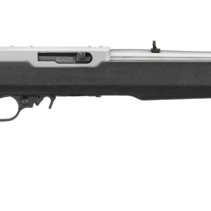 RUGER 10/22 22LR SS/SYN BLK MOE 18"