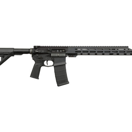 US PALM STORM CAT4 5.56 BLK 30+1 16"