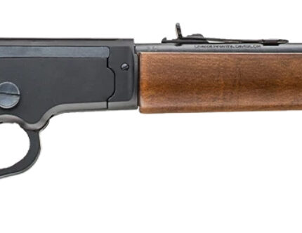 CHIAPPA LA322 LA BANDIT TAKE DOWN 22LR 12 WOOD