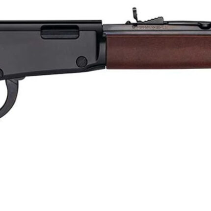 HENRY H1 FRONTIER 17HMR 20 13RD