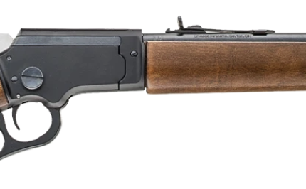 CHIAPPA LA322 BANDIT TAKEDOWN 22LR RIFLE WOOD STOCK 12" BARREL PISTOL GRIP/WOOD STOCK