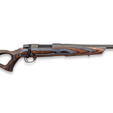 WEATHERBY VANGUARD SPIKE CAMP 223REM 20"