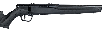 SAVAGE ARMS B17 COMPACT 17HMR BL/SYN 18"