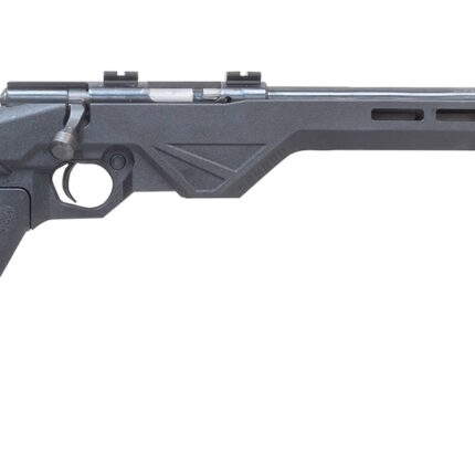 LEGACY SPORTS INTERNATIONAL CITADEL TRAKR BLT 22LRR BK 18"