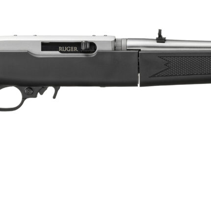 RUGER 10/22 TD 22LR SS/SYN 18.5"