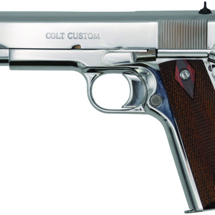 CLT 1911 GOVT 45ACP 5 BRIGHT SS BLEM