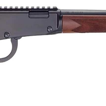 HENRY H1 SPORTER 17HMR 18.5 12RD