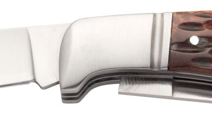 Browning 3220012 Joint Venture  2.88" Folding Drop Point/Spey Point Plain 8Cr13MoV SS Blade Brown Jigged Bone Handle
