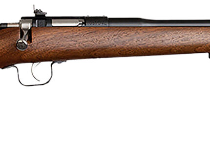Chipmunk 00001 Youth  22 LR 1rd 16.13" Blued Steel Barrel & Receiver, American Walnut Fixed Wood Stock