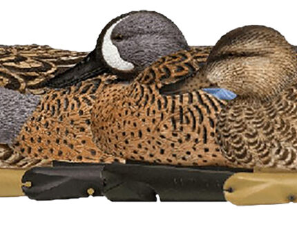 Avian X AVXAVX8080 Topflight  Blue-Winged Floating Teal Decoys Multi-Colored-6 Pack