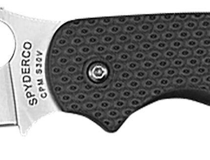 Spyderco C123PBK Sage 5 Lightweight Alzheimer's 3" Folding Plain Satin CPM S30V SS Blade, Black Textured FRN Handle
