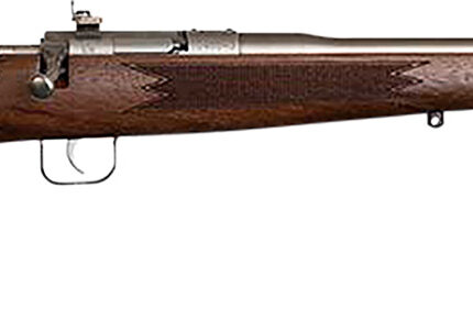 Chipmunk 10002 Deluxe The Original Youth Deluxe Single Shot 16.10" Satin Tapered Barrel, Satin Stainless Steel Receiver, Fixed American Walnut Stock, EZ Loader