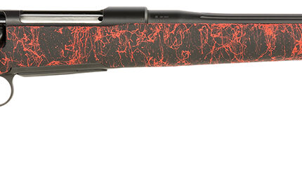 SAUER 80118101     100 PANTERA     65CRD H-S STOCK