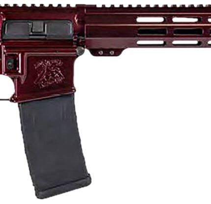 Shark Coast Tactical 300-040-1000-00 Blaze 5.56 NATO 30+1 16" Black Nitride Threaded Barrel, Red Blaze Cerakote Picatinny Rail Aluminum Receiver, Magpul SL-K Black Polymer Stock, Black Polymer Grip