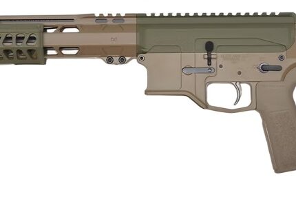 BILSON PAFCSFG20R1 BA15FCP 223W     20R FDE/SNPGRN