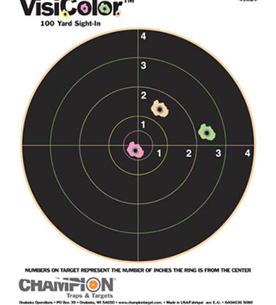 Champion Targets 45824 VisiColor  Bullseye Paper Hanging Pistol/Rifle 8.50" x 11" Multi-Color Includes Pasters 10 Pack