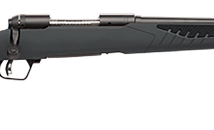 Savage Arms 57062 110 Hunter Full Size 204 Ruger 4+1 22" Matte Black Button-Rifled Barrel, Matte Black Drilled & Tapped Carbon Steel Receiver, Adj AccuStock Matte Gray Synthetic Stock, Right Hand