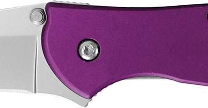 Kershaw 1660PUR Leek  3" Folding Drop Point Plain Bead Blasted 14C28N Steel Blade Purple Anodized Aluminum Handle Includes Pocket Clip