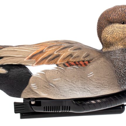 AVIAN AVX-PSW-GDSW POWER SWIMMER GADWILL DRAKE