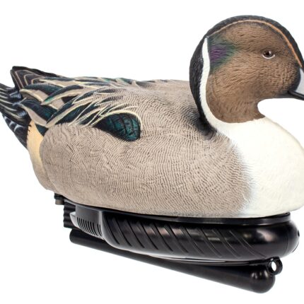 AVIAN AVX-PSW-PNSW POWER SWIMMER PINTAIL DRAKE
