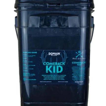 DOMAIN CBKFP375 COMEBACK KID