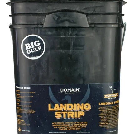 DOMAIN LSFP5       LANDING STRIP