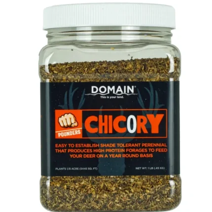 DOMAIN DCS1LB      POUNDER - CHICORY