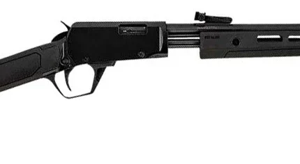 ROSSI GALLERY 22MAG 20 BLUED BLK SYNTHETIC 12RD