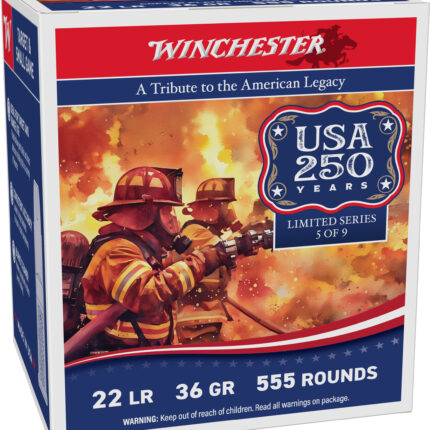 WIN USA 250TH 22LR 36GR COPPER HP 5550RD CASE