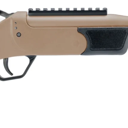 ROSSI BRAWLER 300BLK 9" BL/FDE     #
