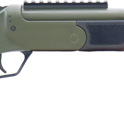 ROSSI BRAWLER 300BLK 9" BL/ODG #