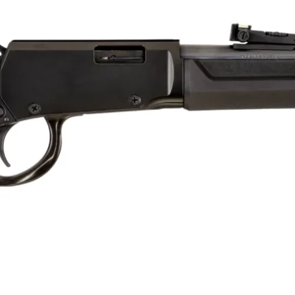ROSSI RIO BRAVO 22WMR BK/SY 20" #