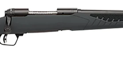Savage Arms 57062 110 Hunter Full Size 204 Ruger 4+1 22" Matte Black Button-Rifled Barrel, Matte Black Drilled & Tapped Carbon Steel Receiver, Adj AccuStock Matte Gray Synthetic Stock, Right Hand
