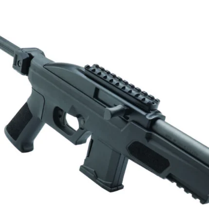 ROSSI RS22P 22LR 6 BLACK 10RD MP BRACE