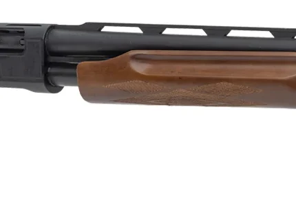 ESCORT WS YOUTH 20GA 22 BRL/WALNUT PUMP