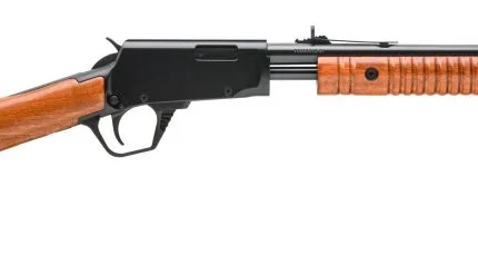 ROSSI GALLERY 22LR BL/WD 18" 15+1